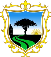 Escudo de San Borja